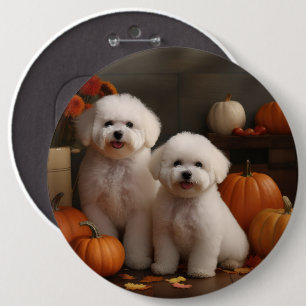 Bóton Redondo 15.24cm Filhote de Bichon Frise Delícia de Outono Abóbora