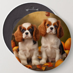 Bóton Redondo 15.24cm Filhote de Cavalier King Charles Spaniel Outono Ab