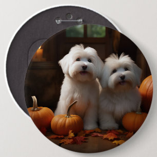 Bóton Redondo 15.24cm Filhote de Coton De Tulear Delícia de Outono Abóbo