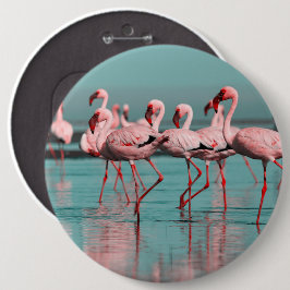 Bóton Redondo 15.24cm flamingos selvagens africanos