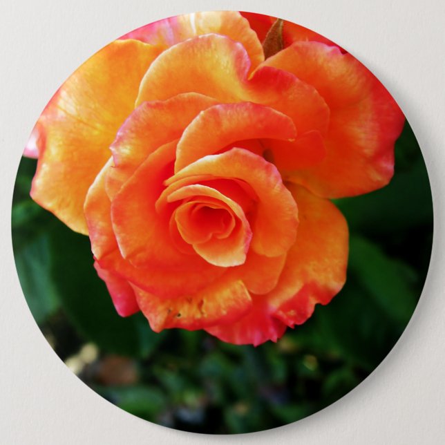 Bóton Redondo 15.24cm Flor de rosa laranja (Frente)