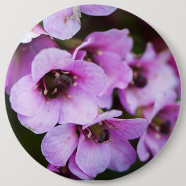 Bóton Redondo 15.24cm Flores silvestres roxas