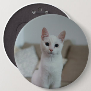 Bóton Redondo 15.24cm Gato branco Zazzle_Growth.