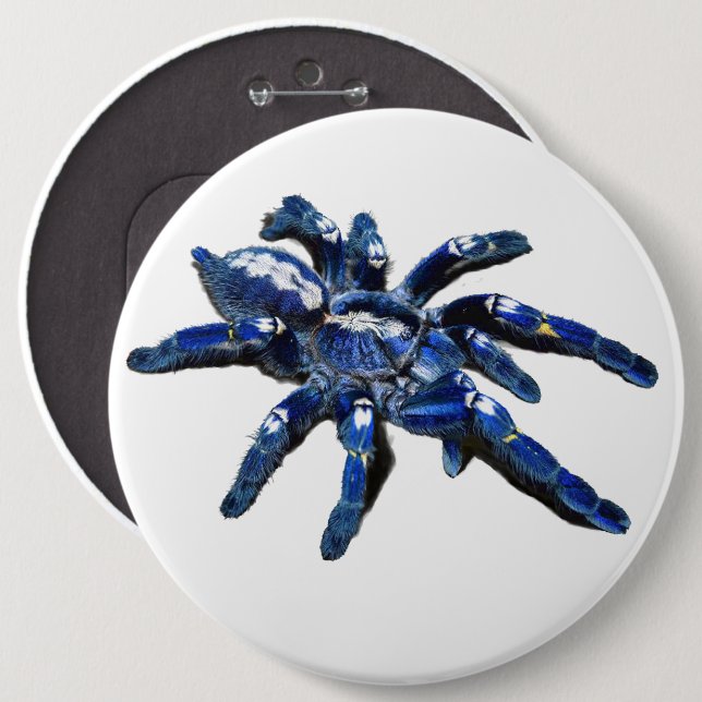 Bóton Redondo 15.24cm Grande aranha azul-Tarantula, aranha gigante
