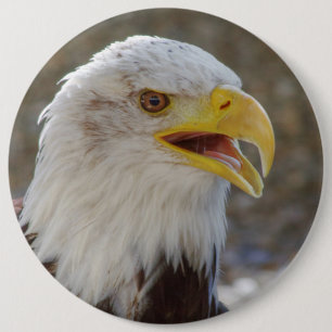 Bóton Redondo 15.24cm Haliaeetus leucocephalus