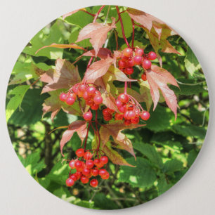 Bóton Redondo 15.24cm Highbush Cranberry