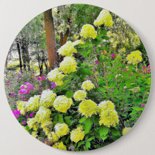 Bóton Redondo 15.24cm Jardim de Hydrangea do Chartreuse Green Limelight