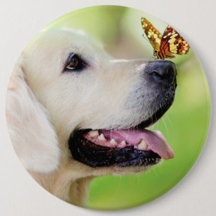 Bóton Redondo 15.24cm Labrador E Travesseiro decorativo De Borboleta