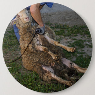 Bóton Redondo 15.24cm Ouvintes