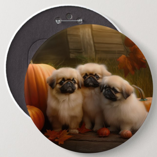 Bóton Redondo 15.24cm Pekingese Puppy Autumn Delight Pumpkin (Frente & Verso)