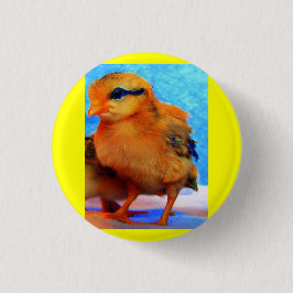 Bóton Redondo 15.24cm Pintinho-A-Luz-páscoa