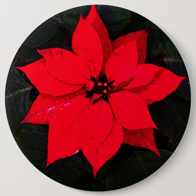 Bóton Redondo 15.24cm Poinsettia 6078 (Frente)