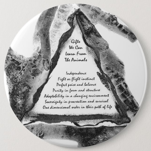 Bóton Redondo 15.24cm Presentes De Animais (Frente)