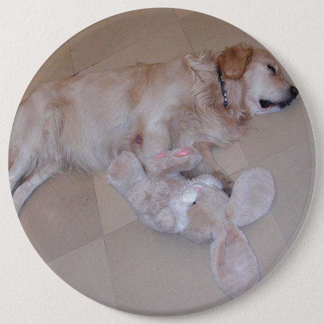 Bóton Redondo 15.24cm Retriever De Ouro De Dormência Bonita Com Coelho D (Frente)