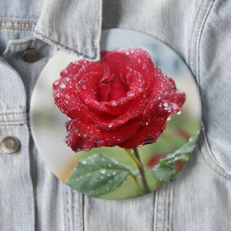 Bóton Redondo 15.24cm Rosa em gotas de chuva