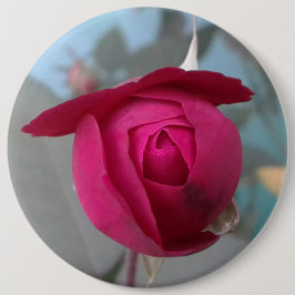 Bóton Redondo 15.24cm Rosa vermelha clássica