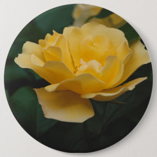 Bóton Redondo 15.24cm Rosas amarelas
