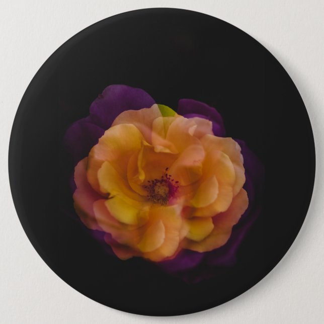 Bóton Redondo 15.24cm Rosas (versão de exposição dupla) (Frente)