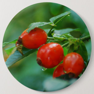 Bóton Redondo 15.24cm Rosehip após chuva