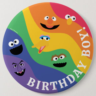 Bóton Redondo 15.24cm Sesame Street Pals Rainbow Birthday Boy