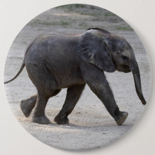 Bóton Redondo 15.24cm Sweet Baby Elephant Kibali