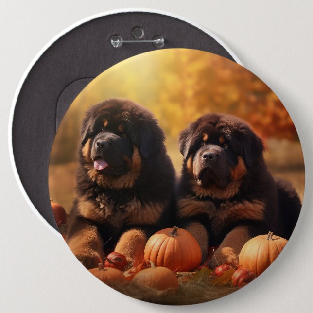 Bóton Redondo 15.24cm Tibetano Mastiff Puppy Autumn Delight Pumpkin (Frente & Verso)