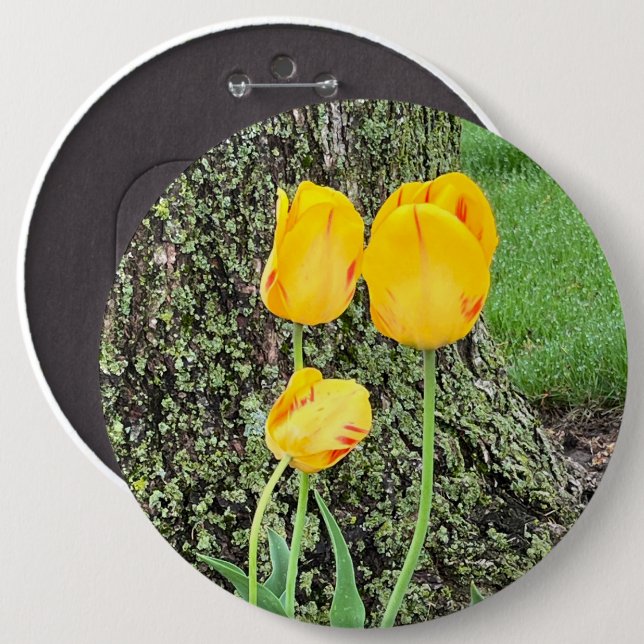 Bóton Redondo 15.24cm Três Tulipas Amarelas / (Frente & Verso)