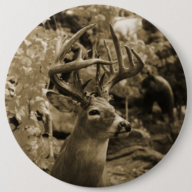 Bóton Redondo 15.24cm Trophy Deer (Frente)
