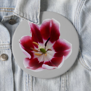 Bóton Redondo 15.24cm Tulipa vermelha profunda