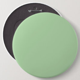 Bóton Redondo 15.24cm Um fundo verde pálido suave preenche a imagem