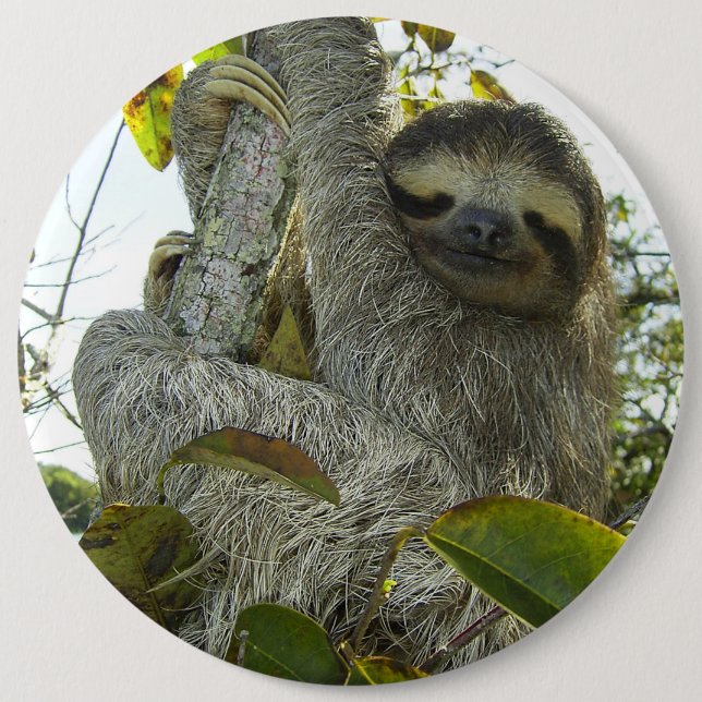 Bóton Redondo 15.24cm Vida viva como uma lama (Frente)