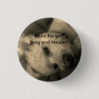 Bóton Redondo 2.54cm A caniche Spay e neutraliza o botão do Promo