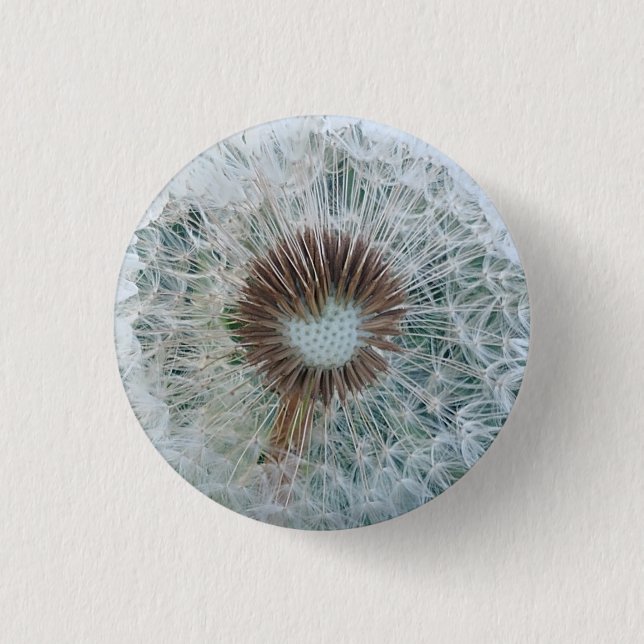 Bóton Redondo 2.54cm Adorável Dandelion Branco (Frente)