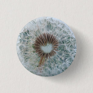Bóton Redondo 2.54cm Adorável Dandelion Branco