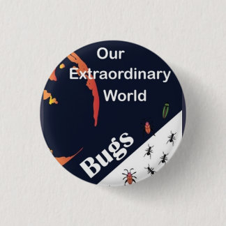 Bóton Redondo 2.54cm Adventurer Club