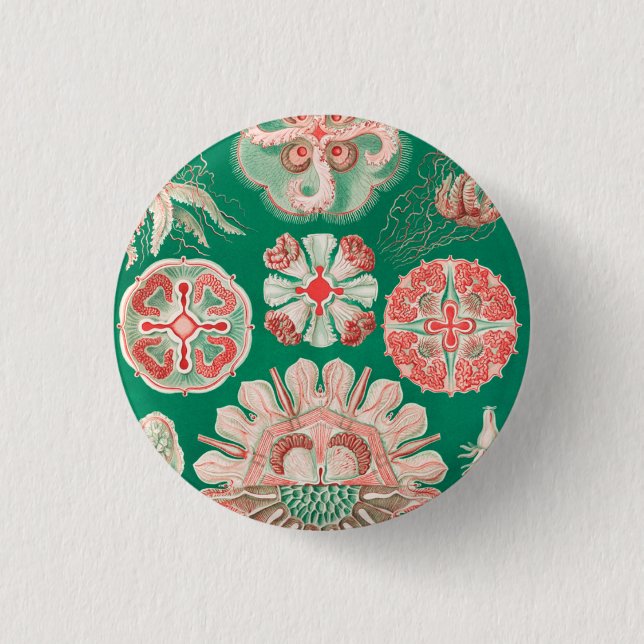 Bóton Redondo 2.54cm Água-viva, Disco de Ernst Haeckel (Frente)