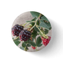 Amoras de maturação