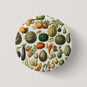 Bóton Redondo 2.54cm Arte de Poster de Frutas Botânicas Francesas Vinta