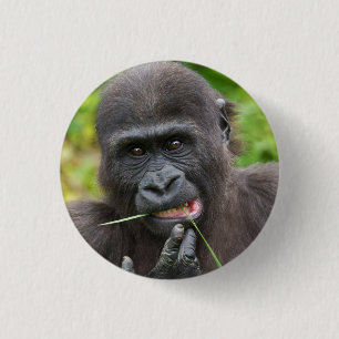 Bóton Redondo 2.54cm Baby Gorilla Cuteness