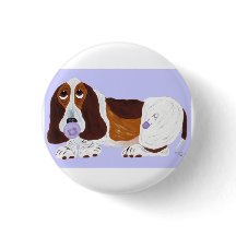 Basset Hound Filhote