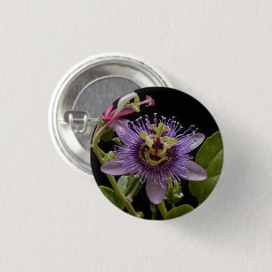 Bóton Redondo 2.54cm Beleza Enigmática: Flor de Paixão Púrpura