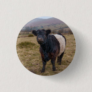 Bóton Redondo 2.54cm Belga Galloway Sentindo Orgulho em Dartmoor Farmla