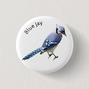 Bóton Redondo 2.54cm Blue Jay