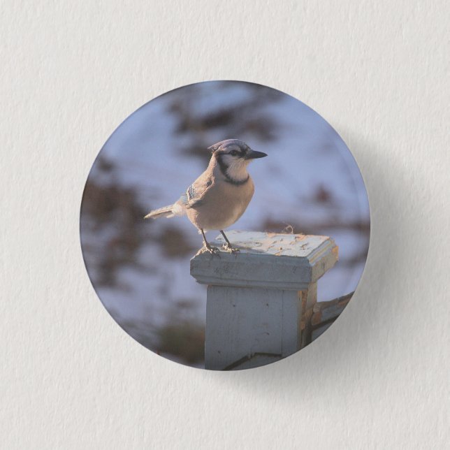 Bóton Redondo 2.54cm Blue Jay (Frente)