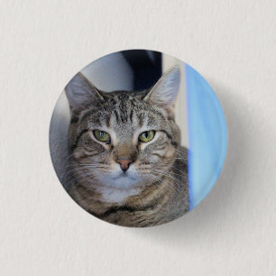 Bóton Redondo 2.54cm Bola de Pong Ping Cat