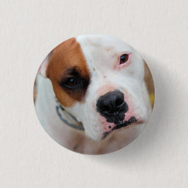 Bóton Redondo 2.54cm Boop