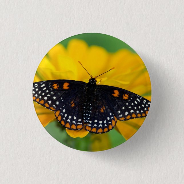 Bóton Redondo 2.54cm Borboleta Baltimore Checkered Spot (Frente)