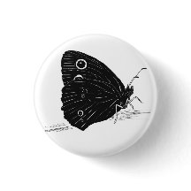 Borboleta Monocromática