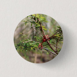 Bóton Redondo 2.54cm Botão