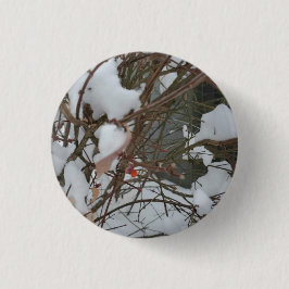 Bóton Redondo 2.54cm Botão